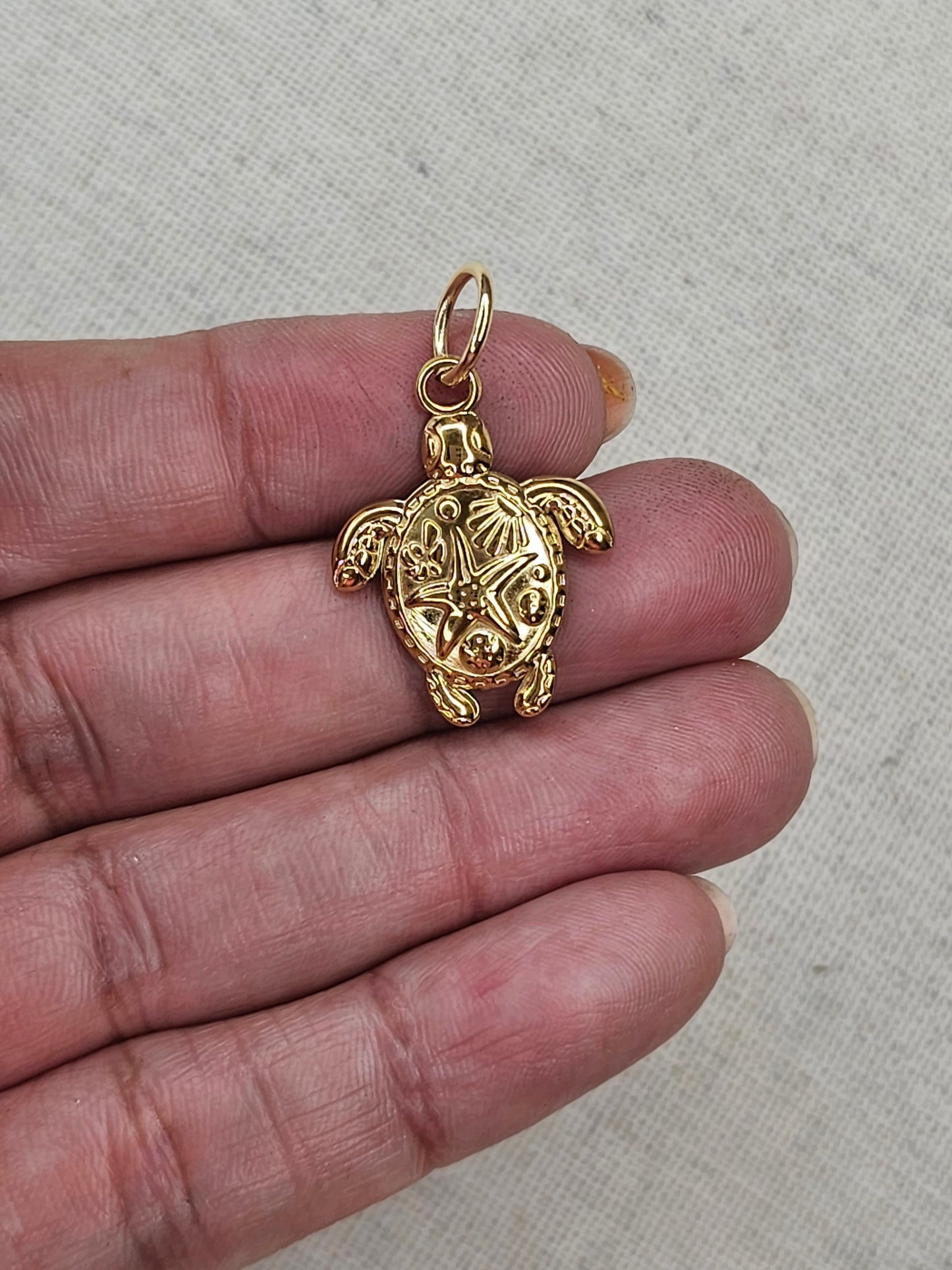 Sea Turtle