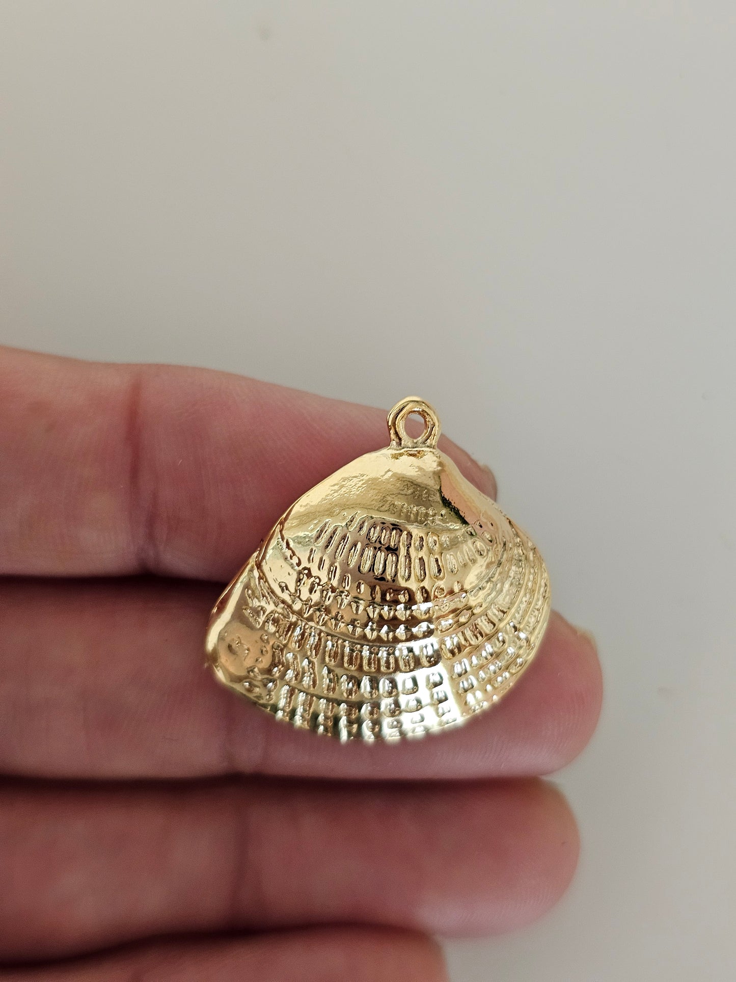 Atlantic Shell