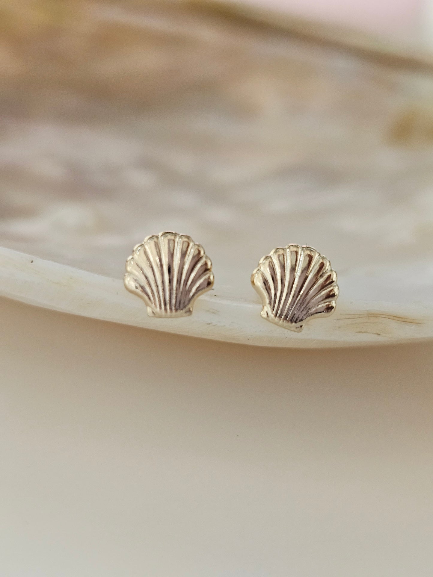 Small shell