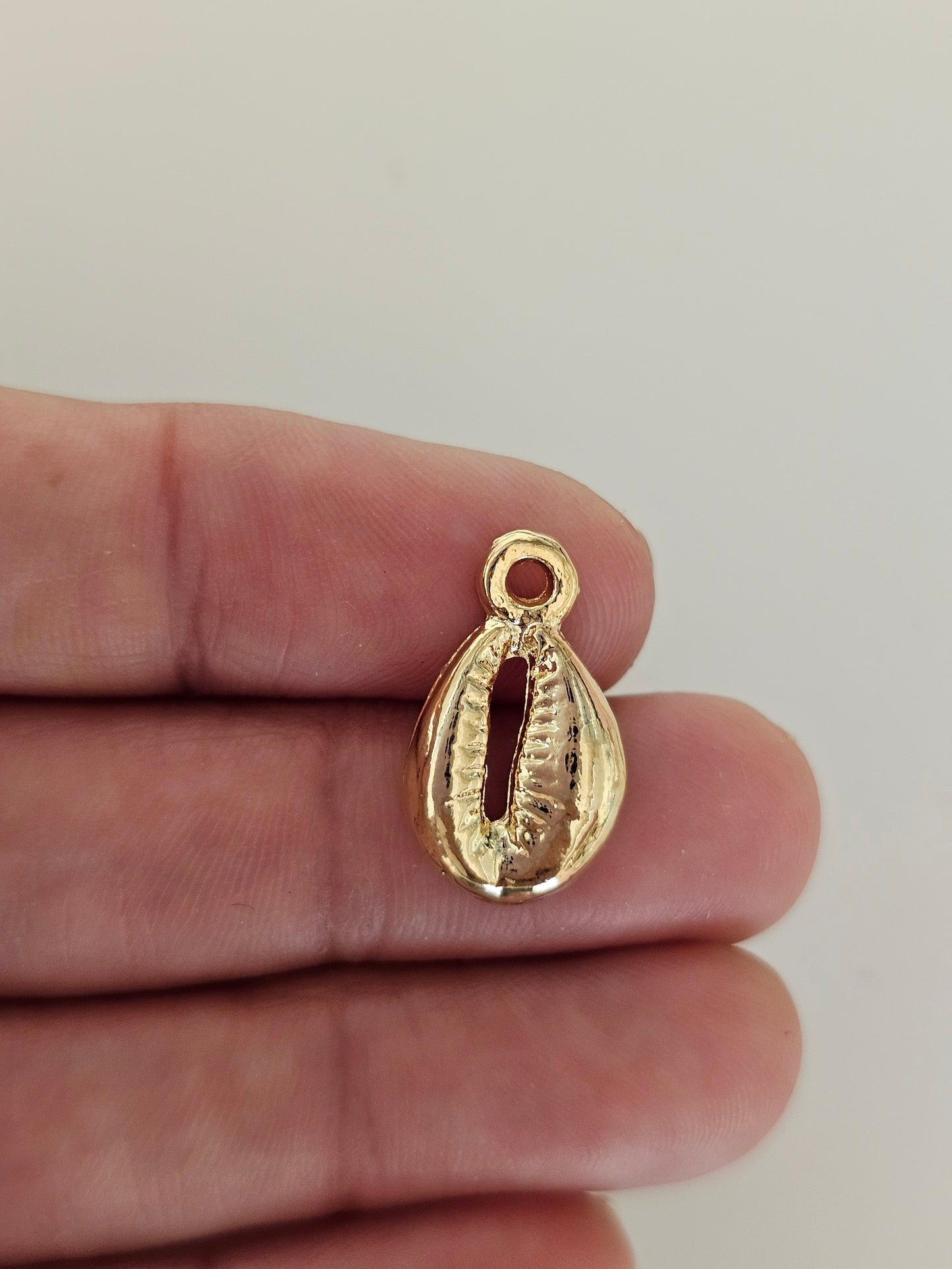 Cowrie Shell