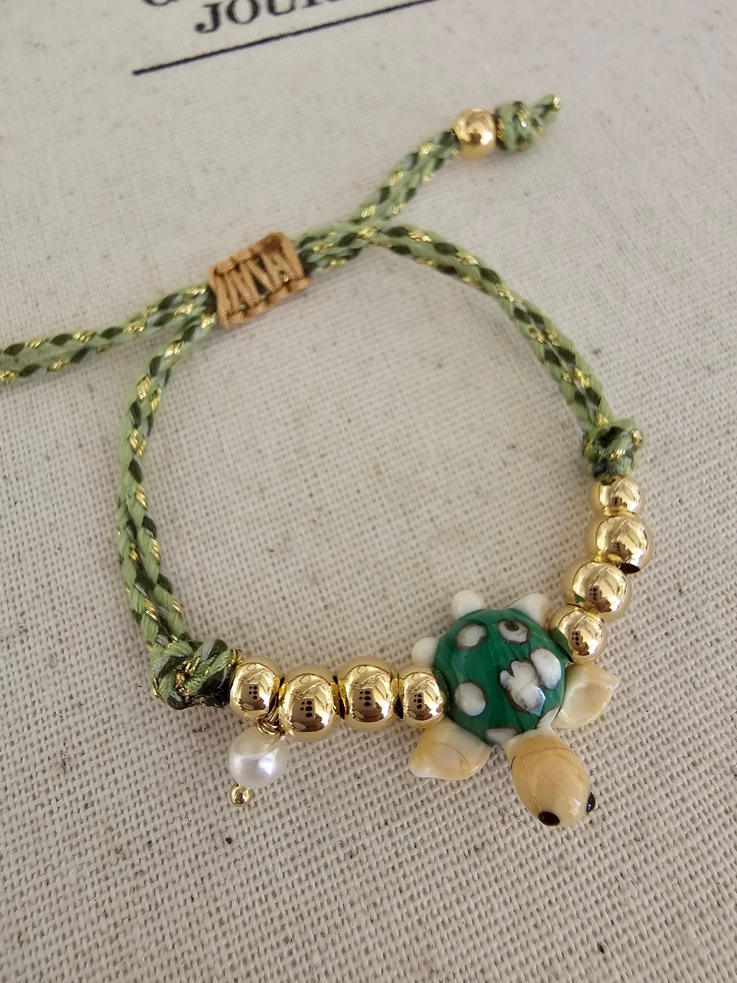Molly Turtle