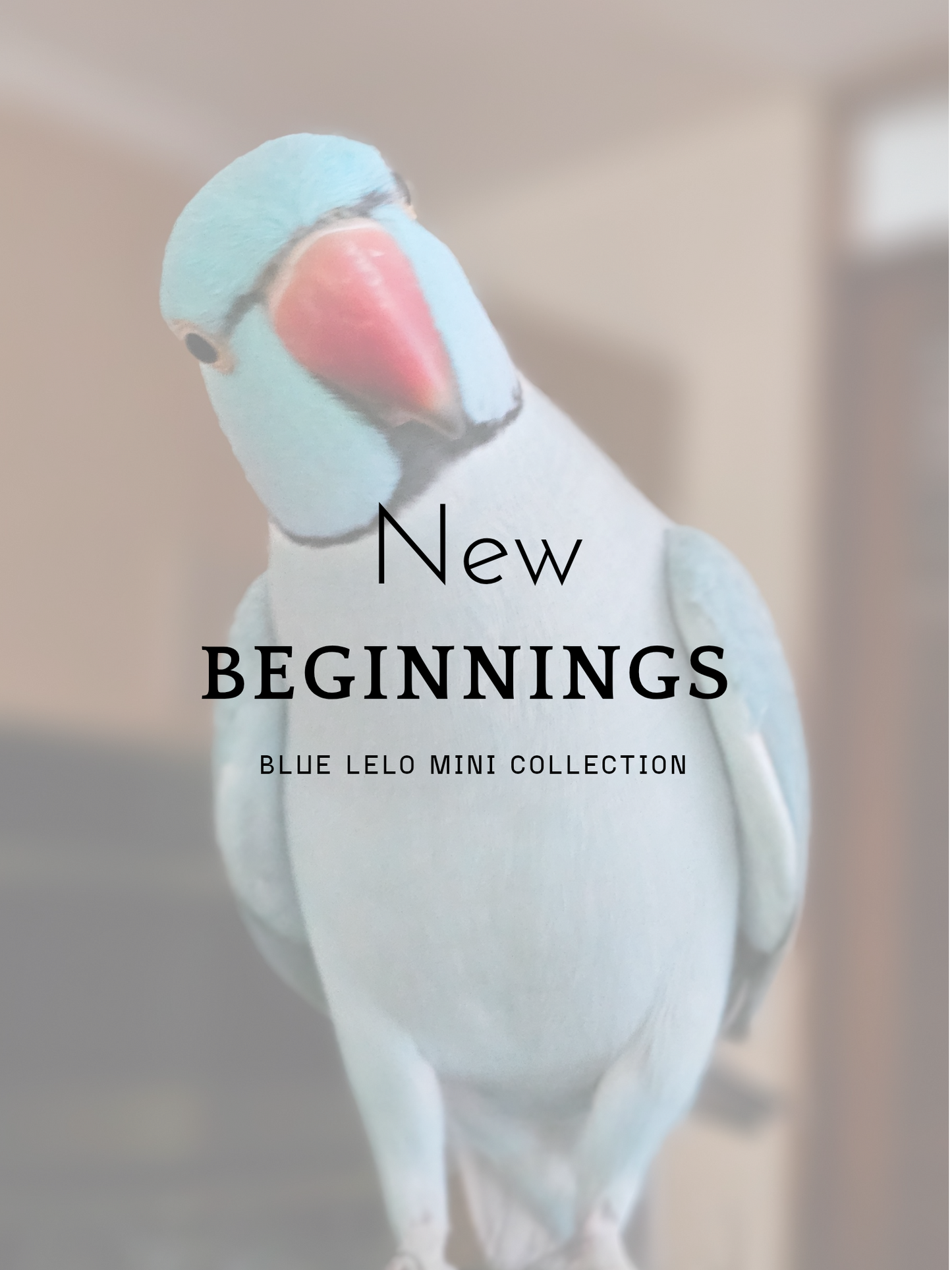 New Beginnings • Blue Lelo Collection