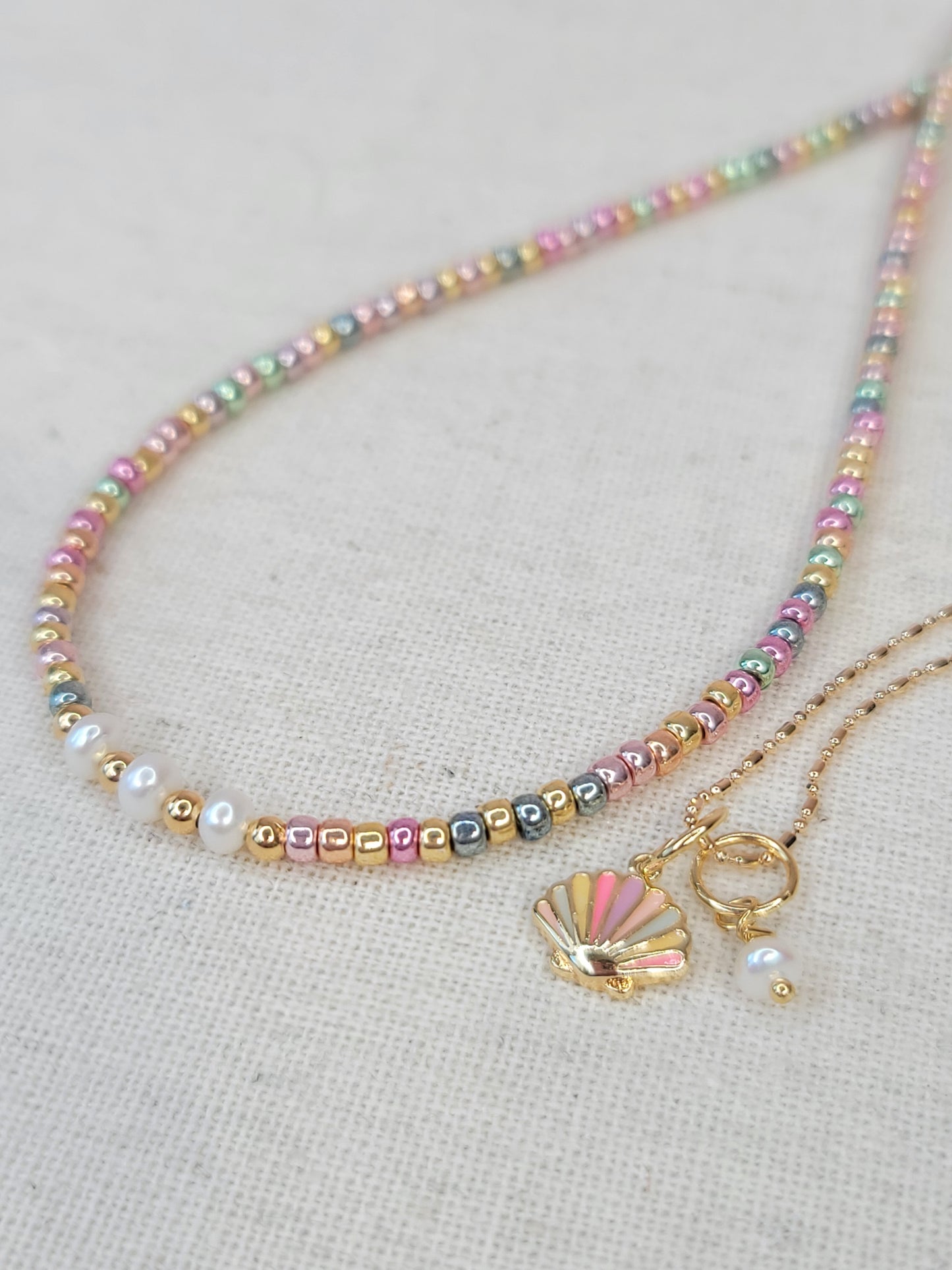 Pastel Seashell