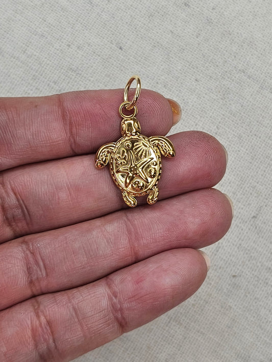 Sea Turtle