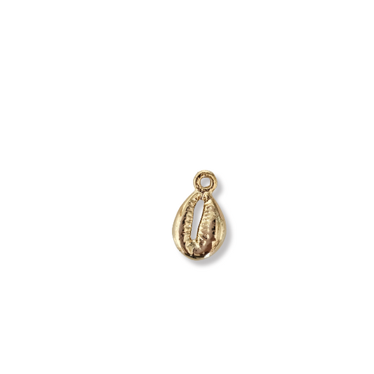 Cowrie  Shell