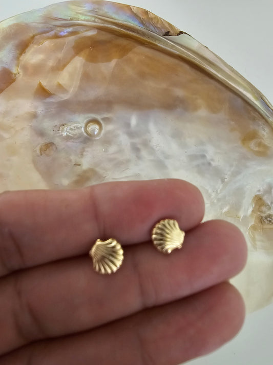 Small shell