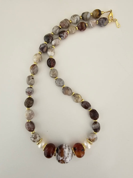 Acacia