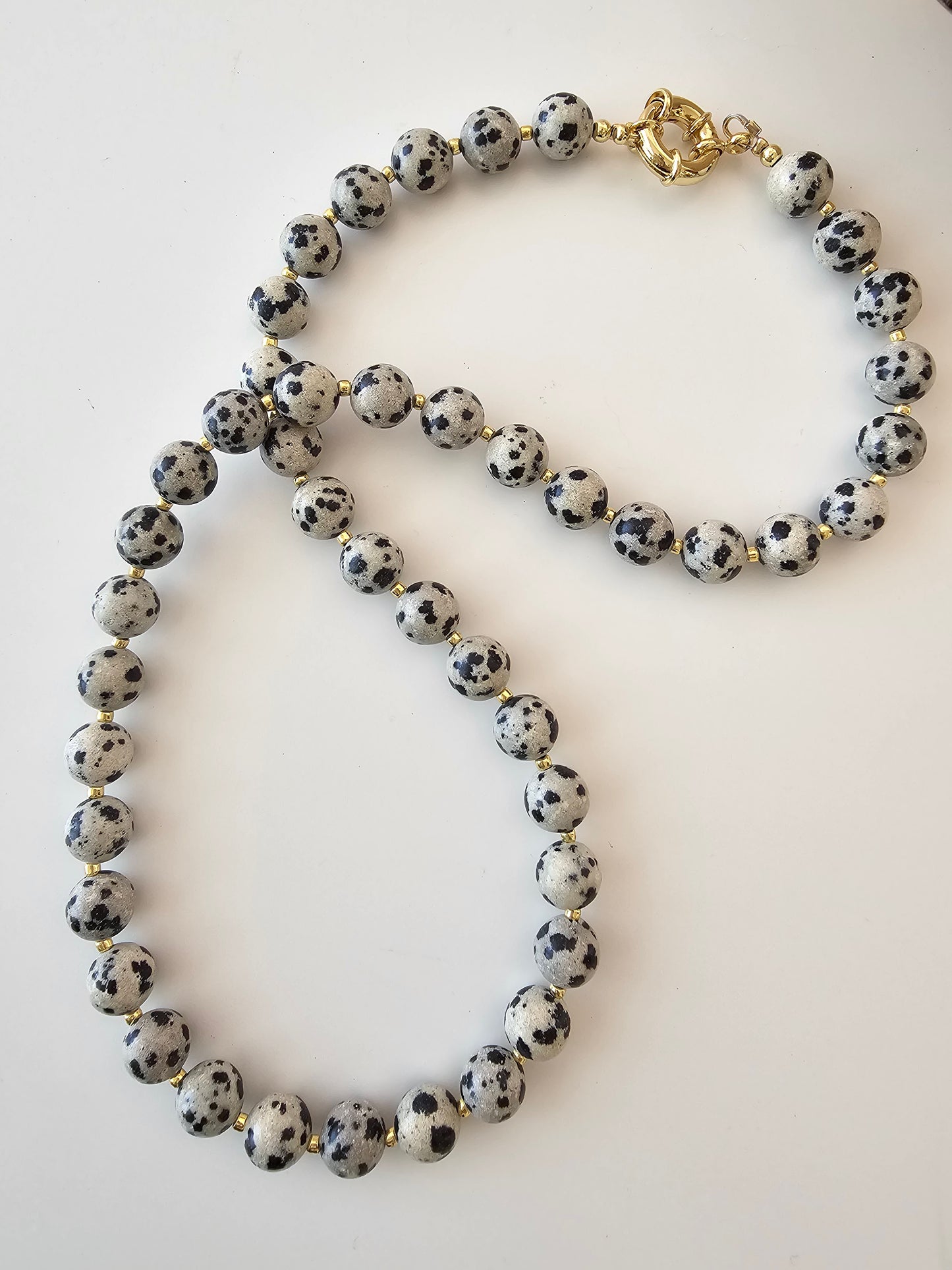 Dalmatian Jasper