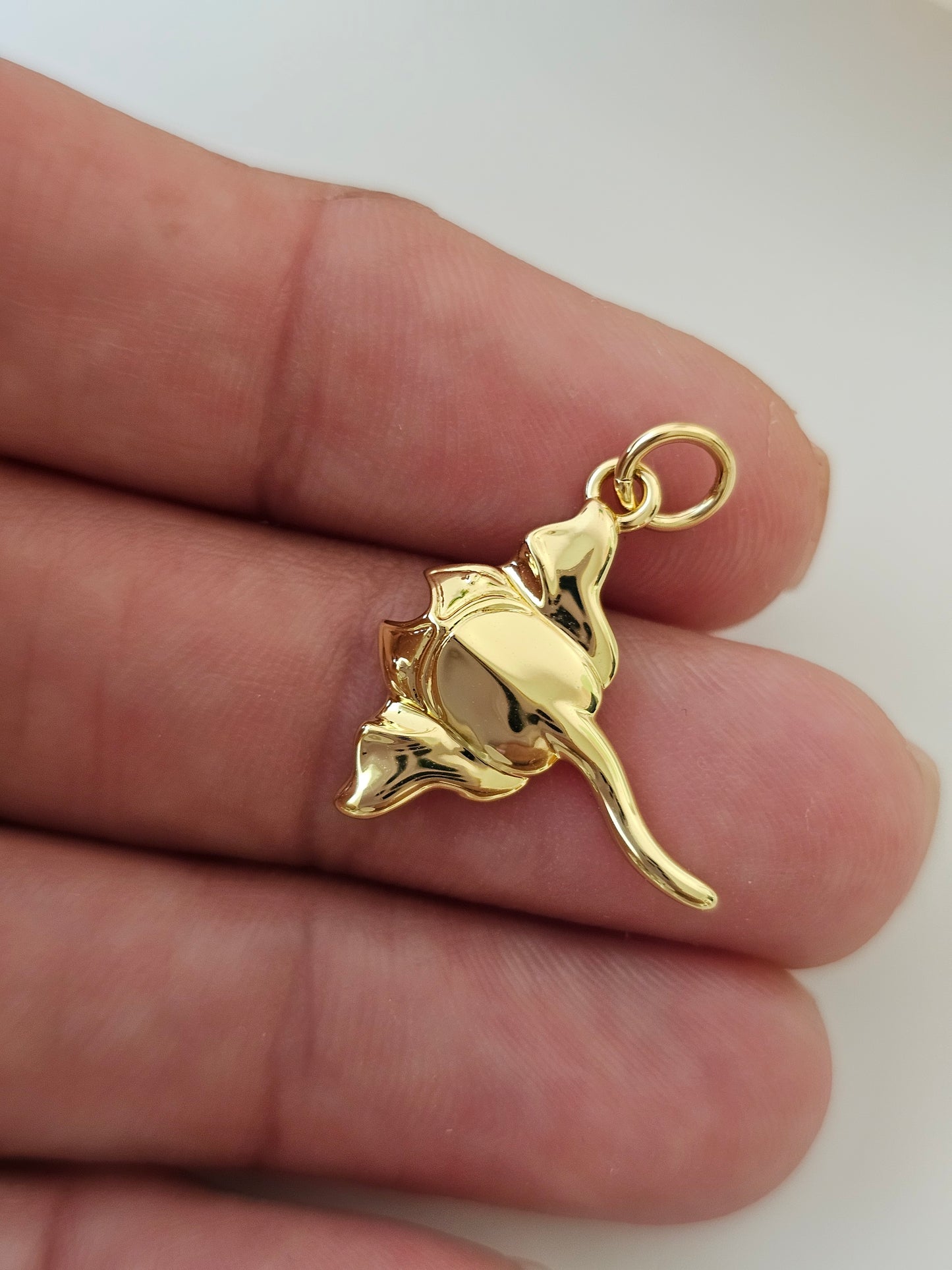 Mantarraya
