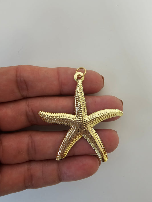 Big Starfish