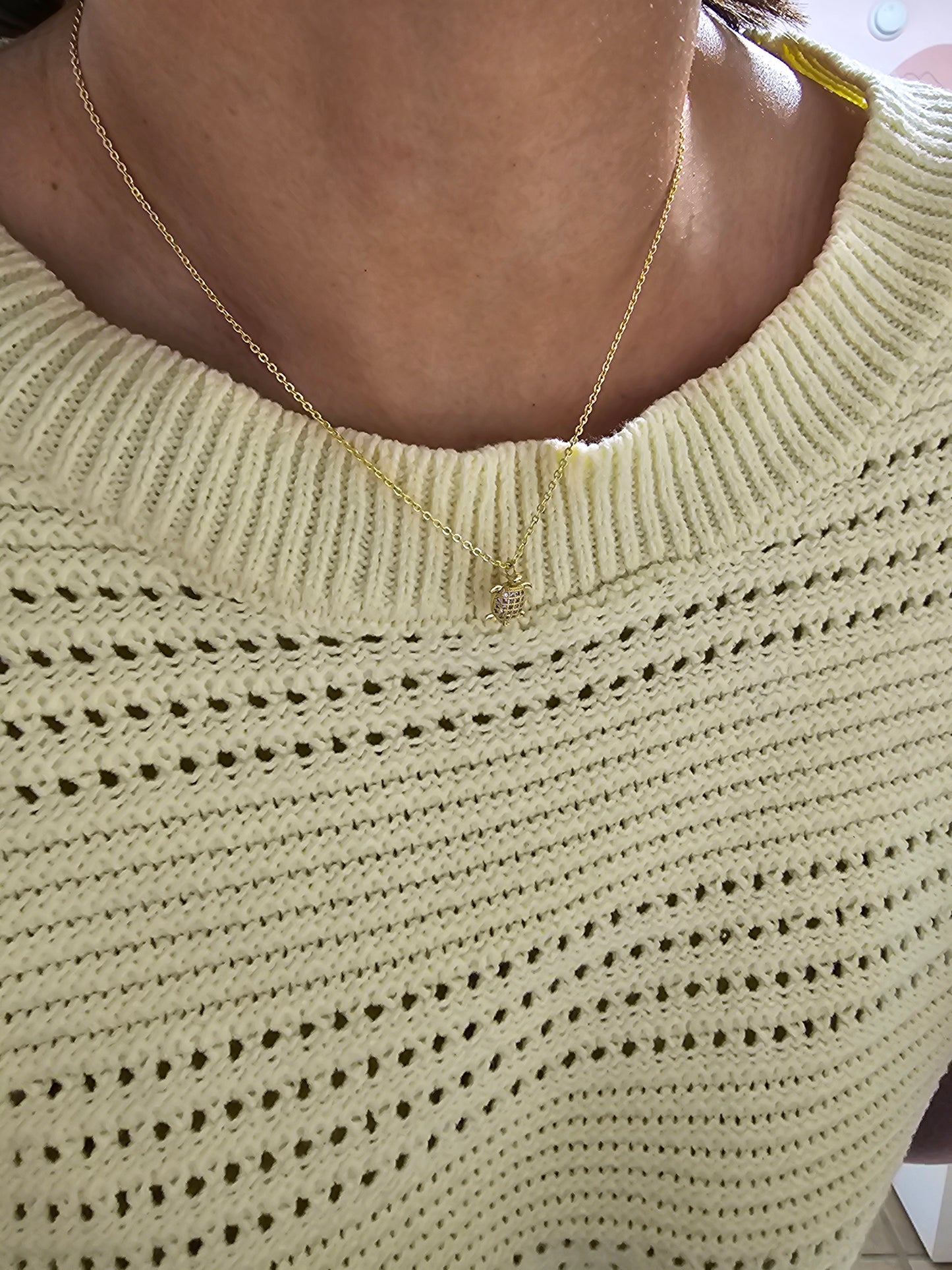 Tortuga Laúd
