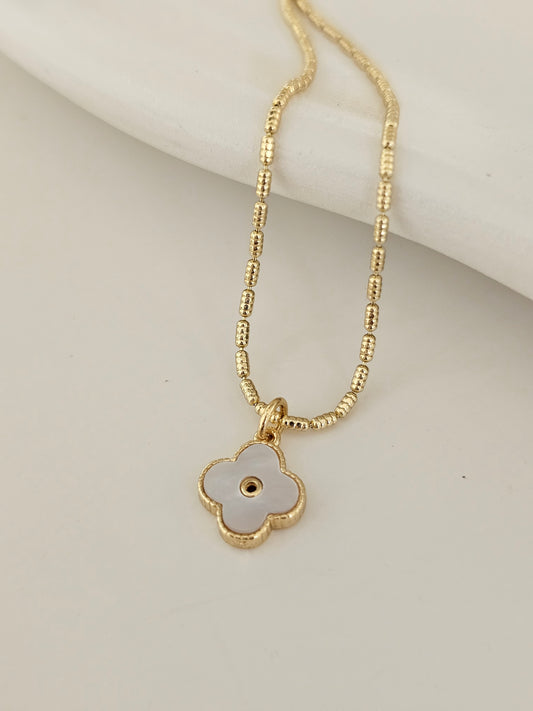 Mother of Pearl Clover