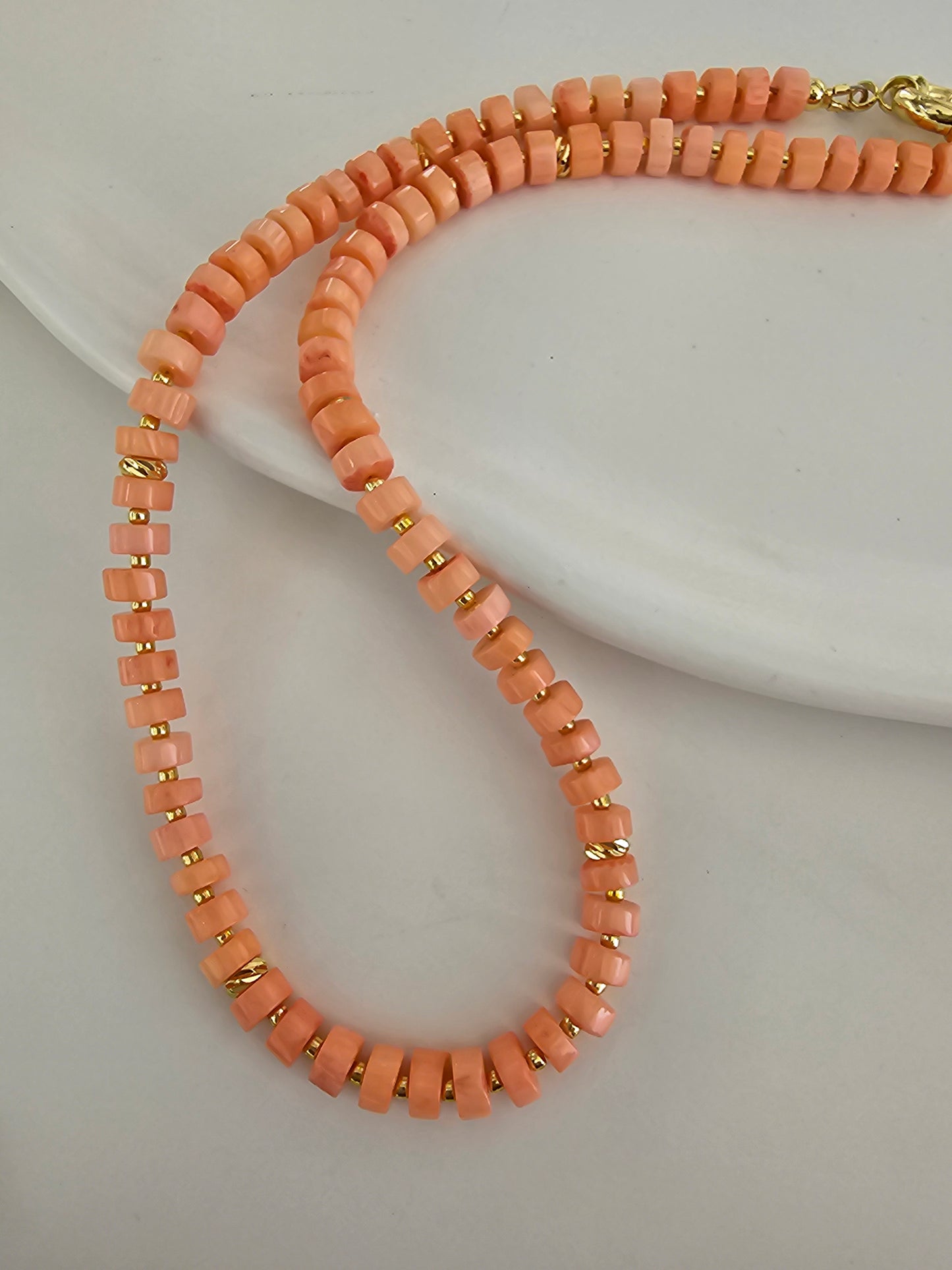 Coral Reef