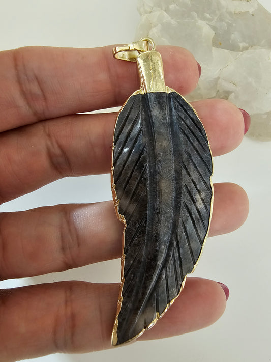 Fossil Leaf (preorden)