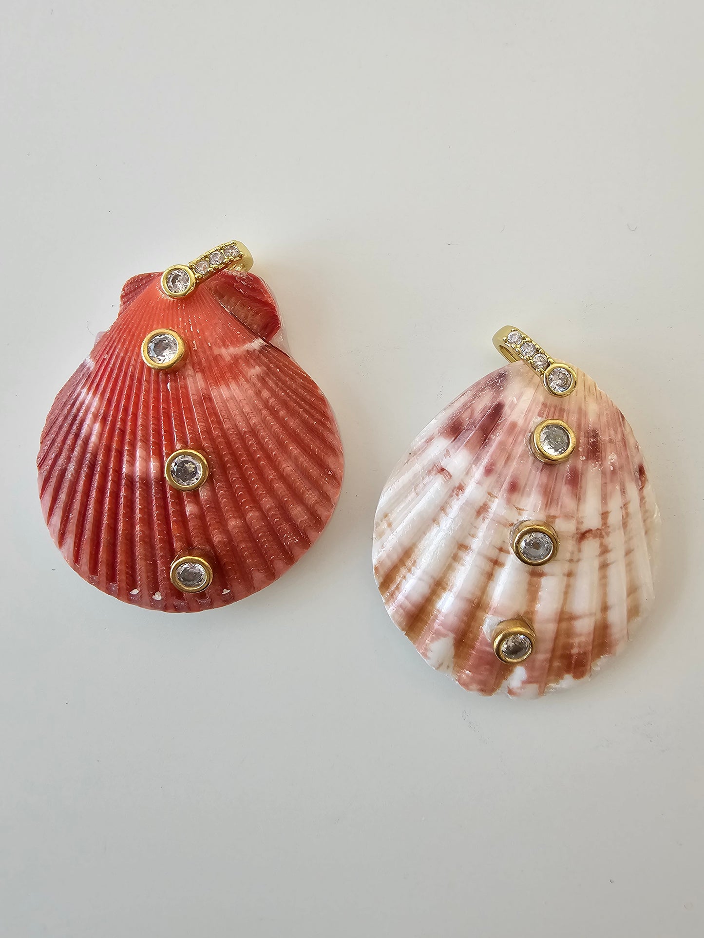 Sea Shells