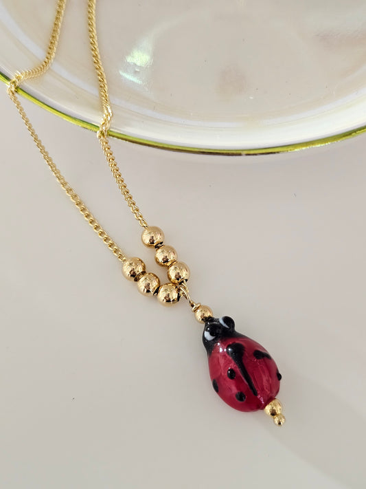 Ladybug